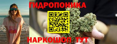 ПСИЛОЦИБИНОВЫЕ ГРИБЫ Моздок