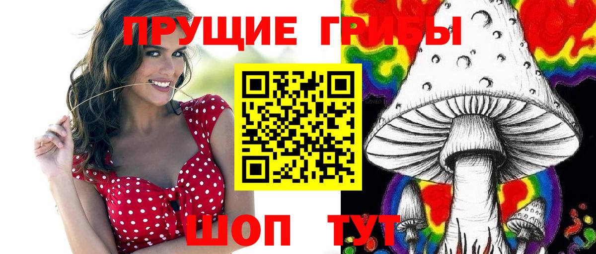 Галлюциногенные грибы Magic Shrooms Черняховск